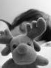 Photo Number 11